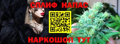 шишки Краснознаменск