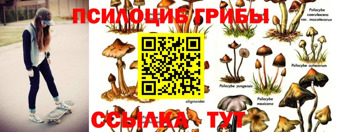 Псилоцибиновые грибы прущие грибы  Псилоцибиновые грибы мухоморы  Вход с VPN  Дербент 