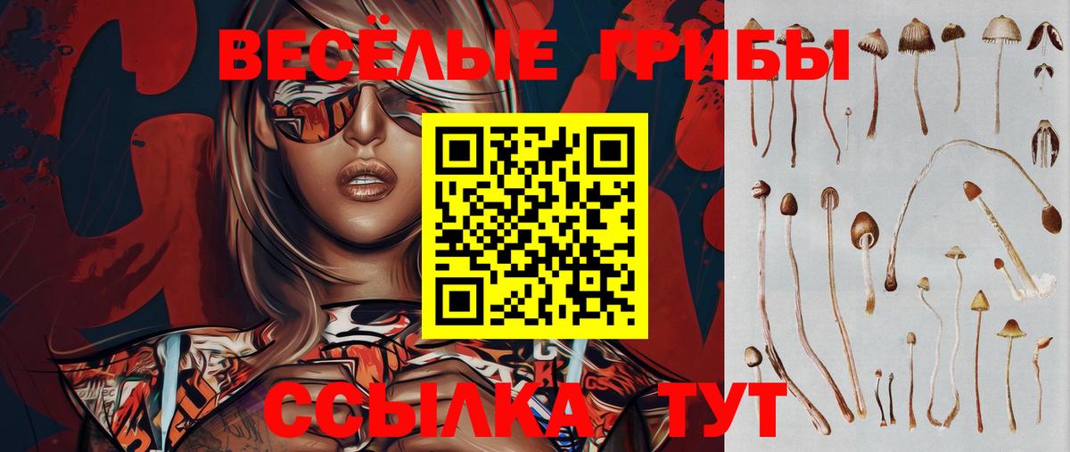 Псилоцибиновые грибы ЛСД Дербент