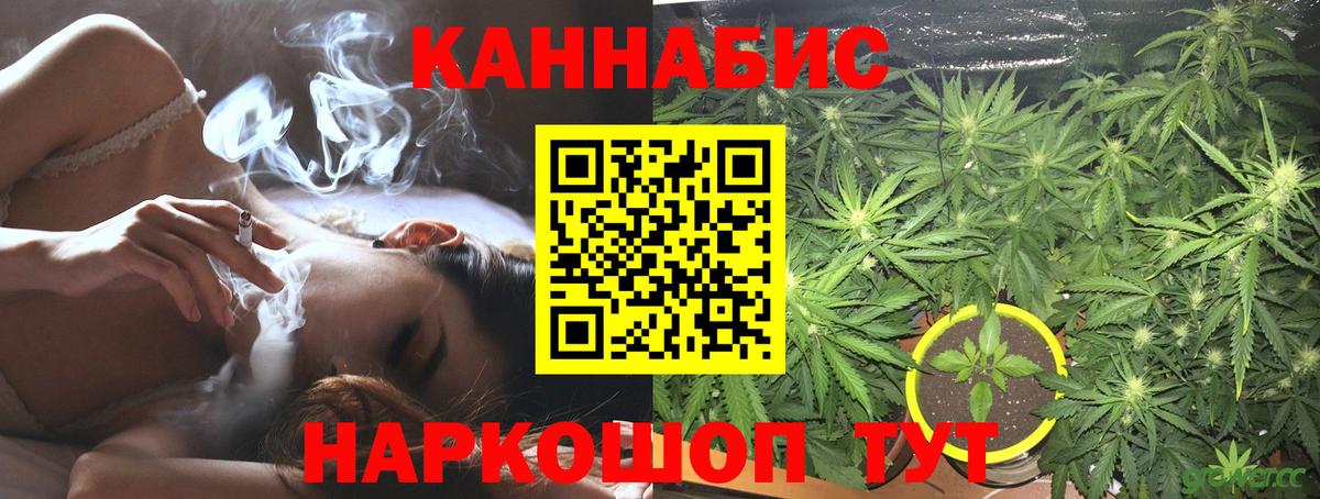 Конопля гибрид Дербент